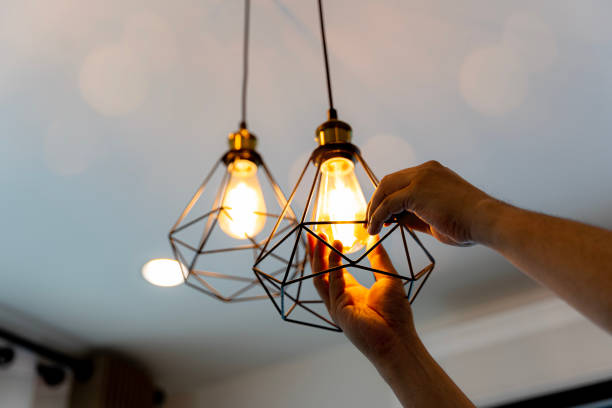 Best Electric Panel Repair  in Iowa Colony, TX