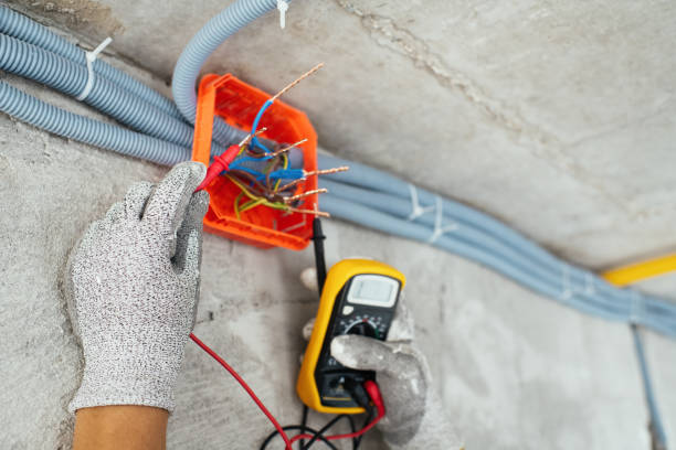 Best Electrical Troubleshooting Services  in Iowa Colony, TX