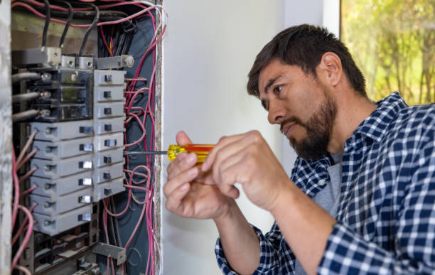 Best Residential Electrician Services  in Iowa Colony, TX